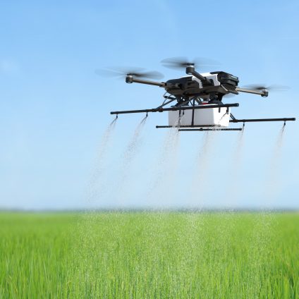 Rinnovabili • Residui di pesticidi negli alimenti e rischi per la salute, l’analisi dell’EFSA