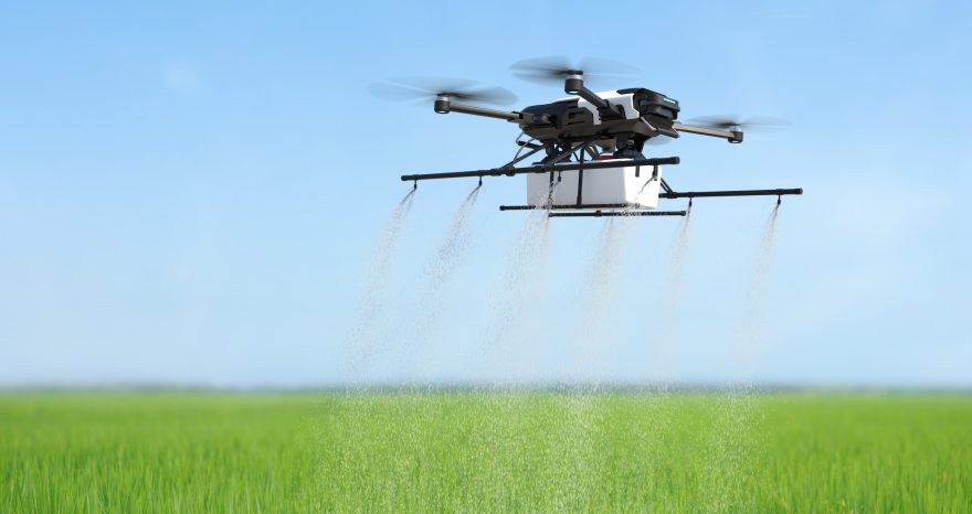 Rinnovabili • Residui di pesticidi negli alimenti e rischi per la salute, l’analisi dell’EFSA