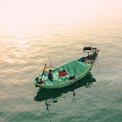 Rinnovabili • Eolico offshore, il MASAF redigerà la mappa Intensità di pesca