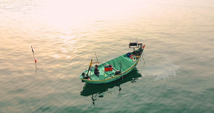 Rinnovabili • Eolico offshore, il MASAF redigerà la mappa Intensità di pesca
