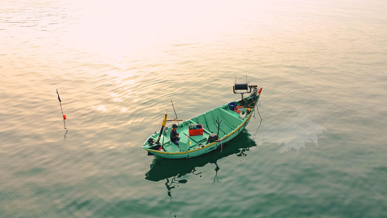 Rinnovabili • Eolico offshore, il MASAF redigerà la mappa Intensità di pesca