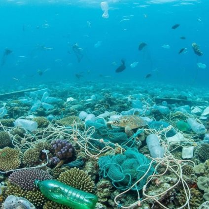 Rinnovabili • Giornata Mondiale dell'Ambiente 2025, basta plastica nei mari
