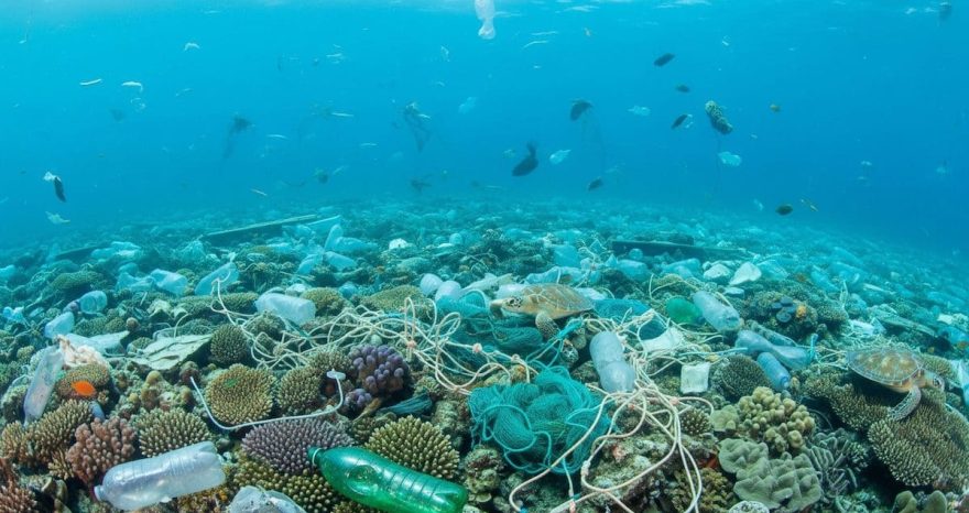 Rinnovabili • Giornata Mondiale dell'Ambiente 2025, basta plastica nei mari