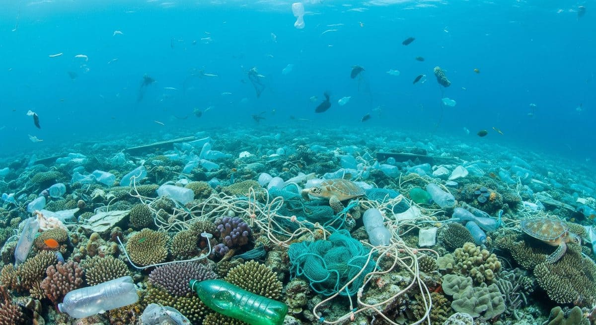 Rinnovabili • Giornata Mondiale dell'Ambiente 2025, basta plastica nei mari