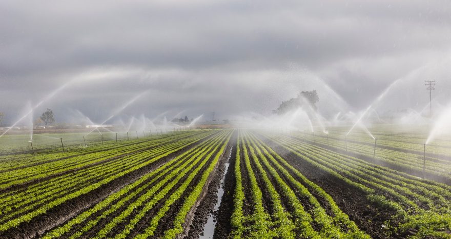 Rinnovabili • L’irrigazione intensiva in agricoltura fa bene alle falde acquifere