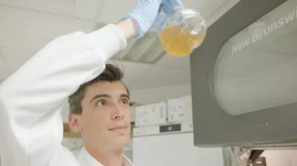 Rinnovabili • Rifiuti in plastica trasformati in paracetamolo: un batterio rivoluziona il processo chimico