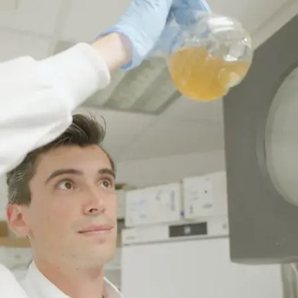 Rinnovabili • Rifiuti in plastica trasformati in paracetamolo: un batterio rivoluziona il processo chimico