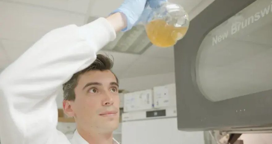 Rinnovabili • Rifiuti in plastica trasformati in paracetamolo: un batterio rivoluziona il processo chimico