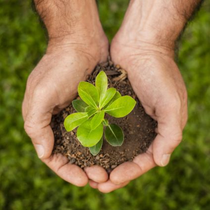 Rinnovabili • 11° Rapporto sulla Bioeconomia, perché le aziende scelgono la sostenibilità