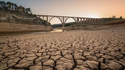 Rinnovabili • Siccità, perché aggrava la fame, la povertà e il collasso dell’ecosistema