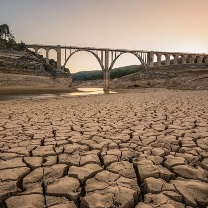 Rinnovabili • Siccità, perché aggrava la fame, la povertà e il collasso dell’ecosistema
