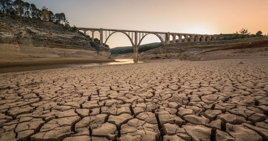 Rinnovabili • Siccità, perché aggrava la fame, la povertà e il collasso dell’ecosistema