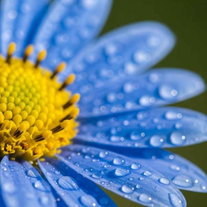Rinnovabili • giornata-europea-vittime-crisi-climatica-