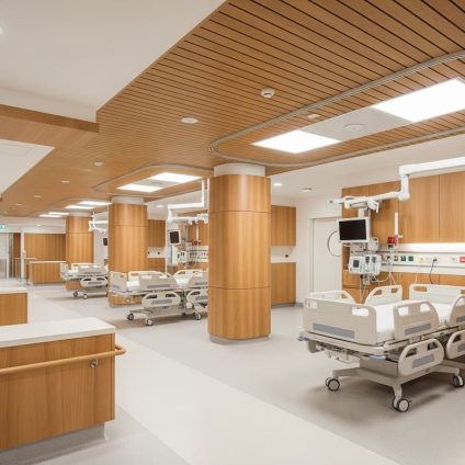Rinnovabili • Legno ingegnerizzato antibatterico: la nuova soluzione per Ospedali più sani