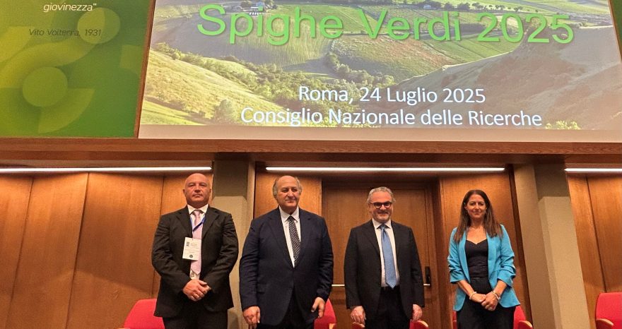 Rinnovabili • Spighe Verdi 2025, cresce l’attenzione dei Comuni allo sviluppo rurale sostenibile