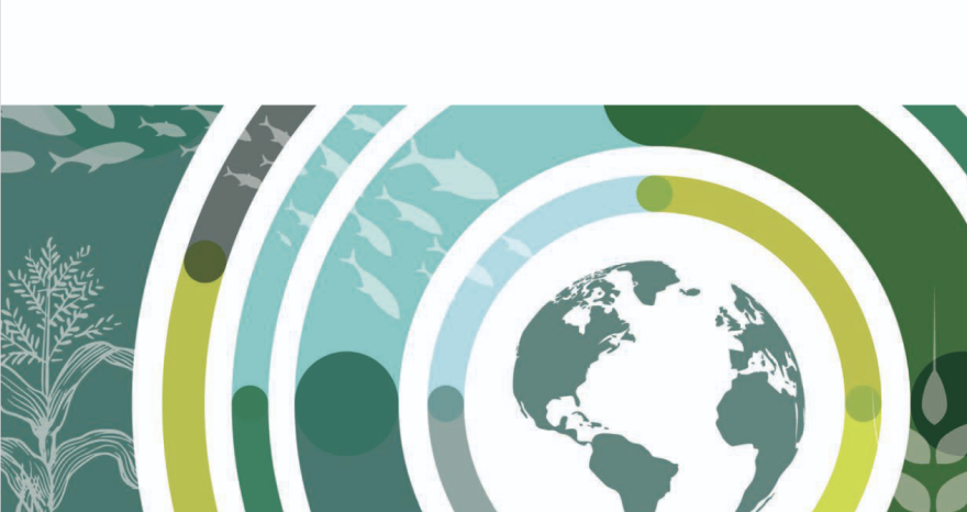 Rinnovabili • Rapporto OECD-FAO, prospettive globali dell’agricoltura nel periodo 2025-2034