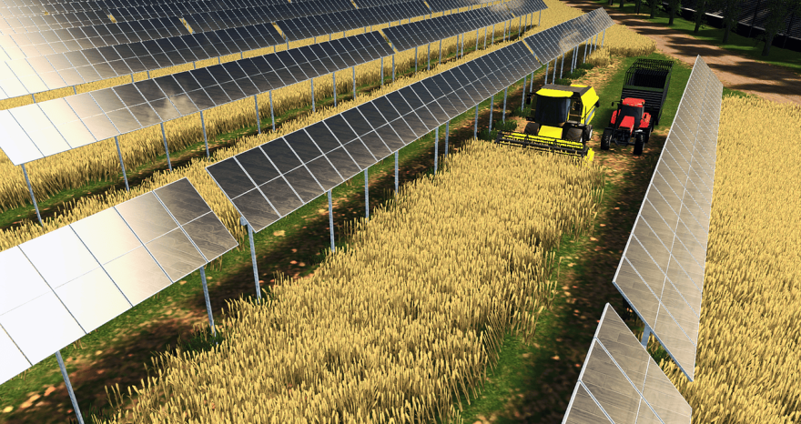 Rinnovabili • Sensoristica e agrivoltaico avanzato, come le nuove tecnologie ottimizzano la produzione agricola
