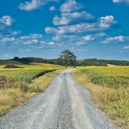 Rinnovabili • Emergenza caldo, tutela dei lavoratori agricoli e danni alle colture