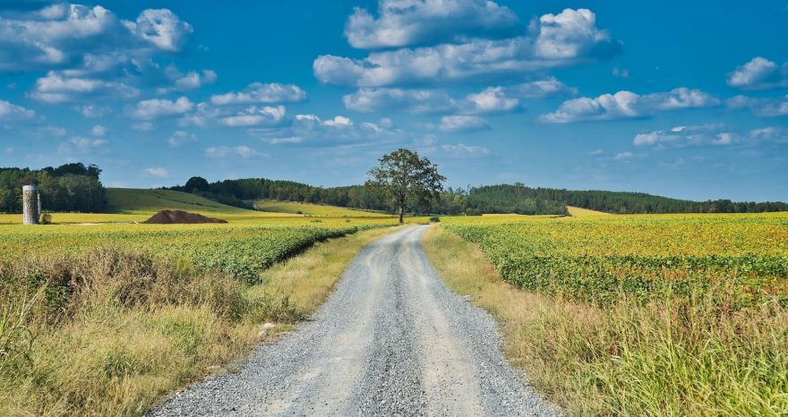 Rinnovabili • Emergenza caldo, tutela dei lavoratori agricoli e danni alle colture
