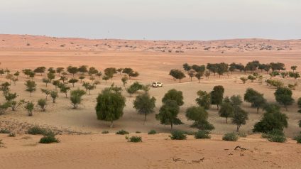 Rinnovabili • Produzione agricola e clima arido, l’esperienza dell’Arabia Saudita