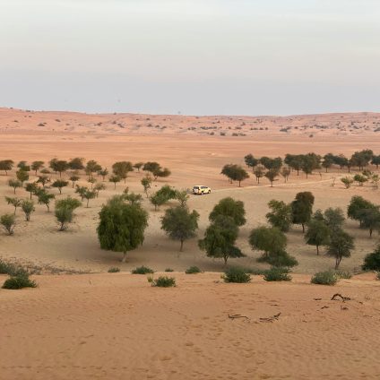 Rinnovabili • Produzione agricola e clima arido, l’esperienza dell’Arabia Saudita