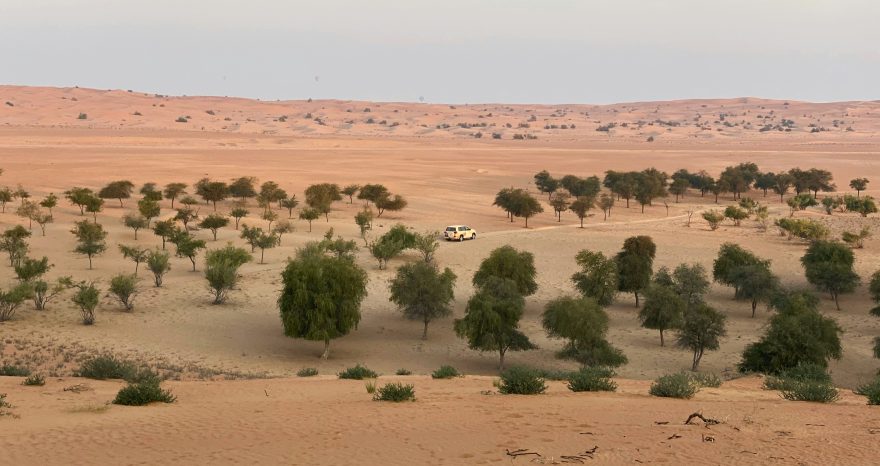 Rinnovabili • Produzione agricola e clima arido, l’esperienza dell’Arabia Saudita