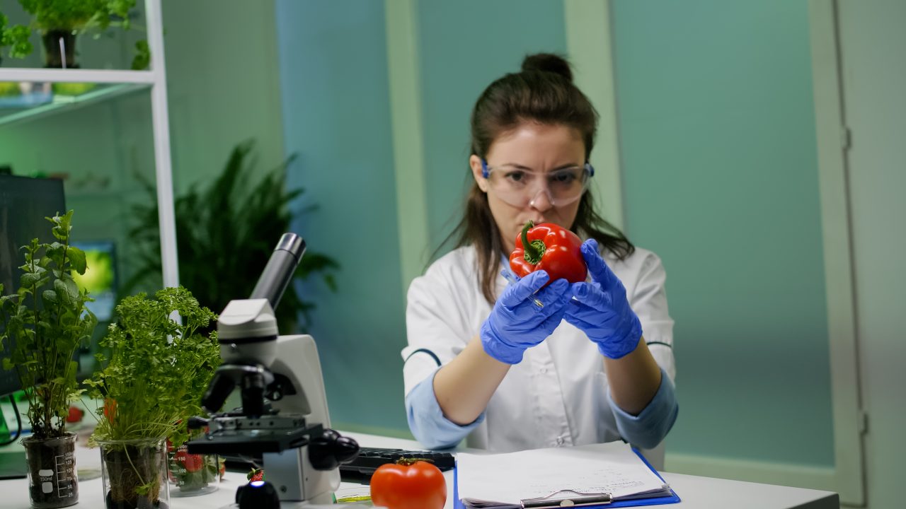 Rinnovabili • L’ICQRF intensifica i controlli contro le pratiche sleali nell’agroalimentare