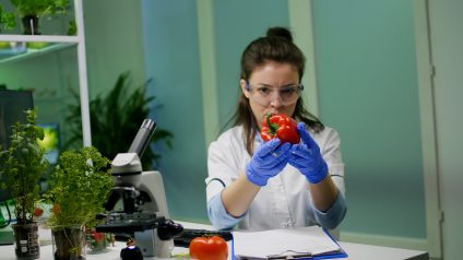 Rinnovabili • L’ICQRF intensifica i controlli contro le pratiche sleali nell’agroalimentare