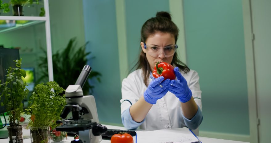 Rinnovabili • L’ICQRF intensifica i controlli contro le pratiche sleali nell’agroalimentare