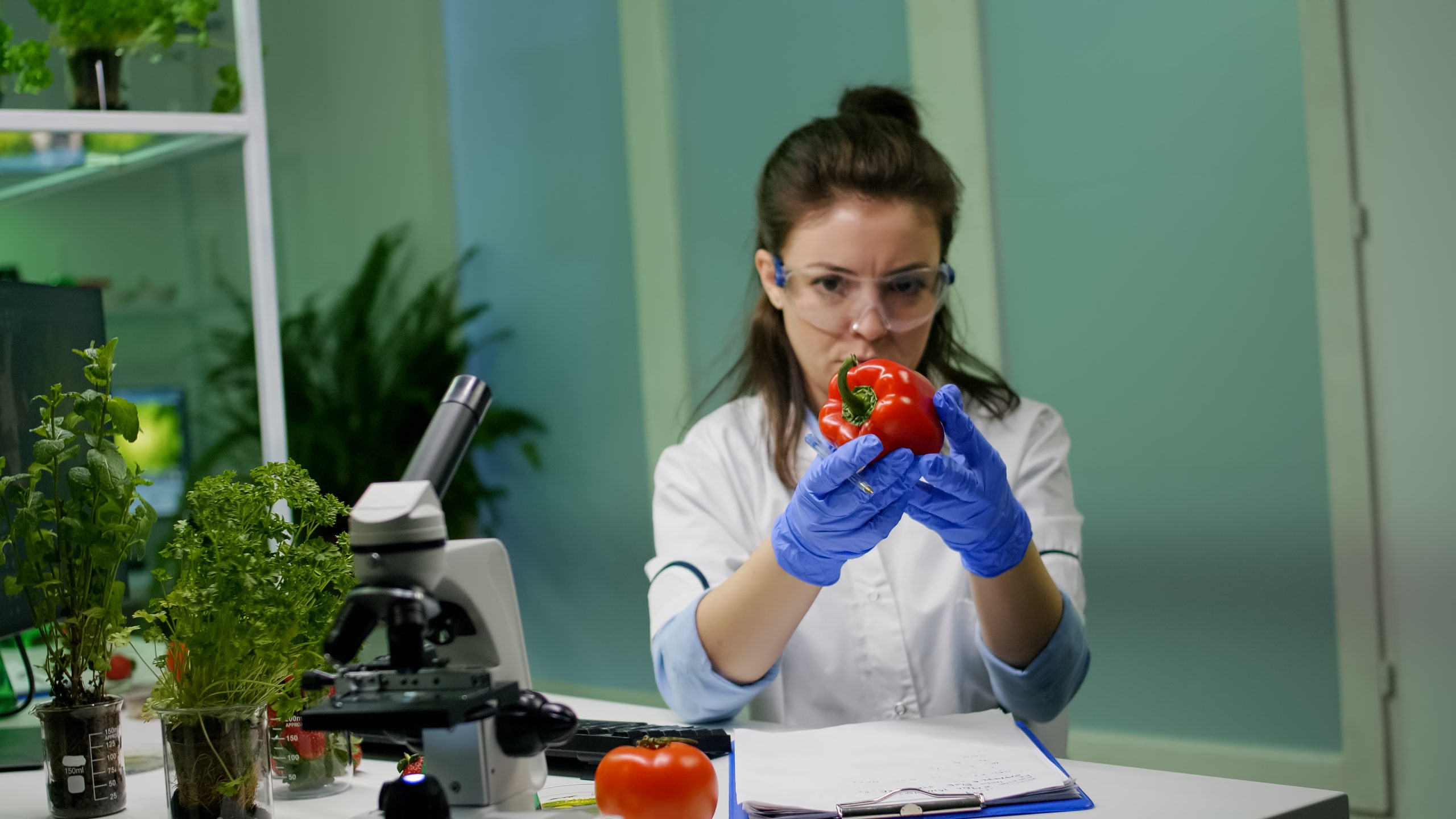 L’ICQRF intensifica i controlli contro le pratiche sleali nell’agroalimentare