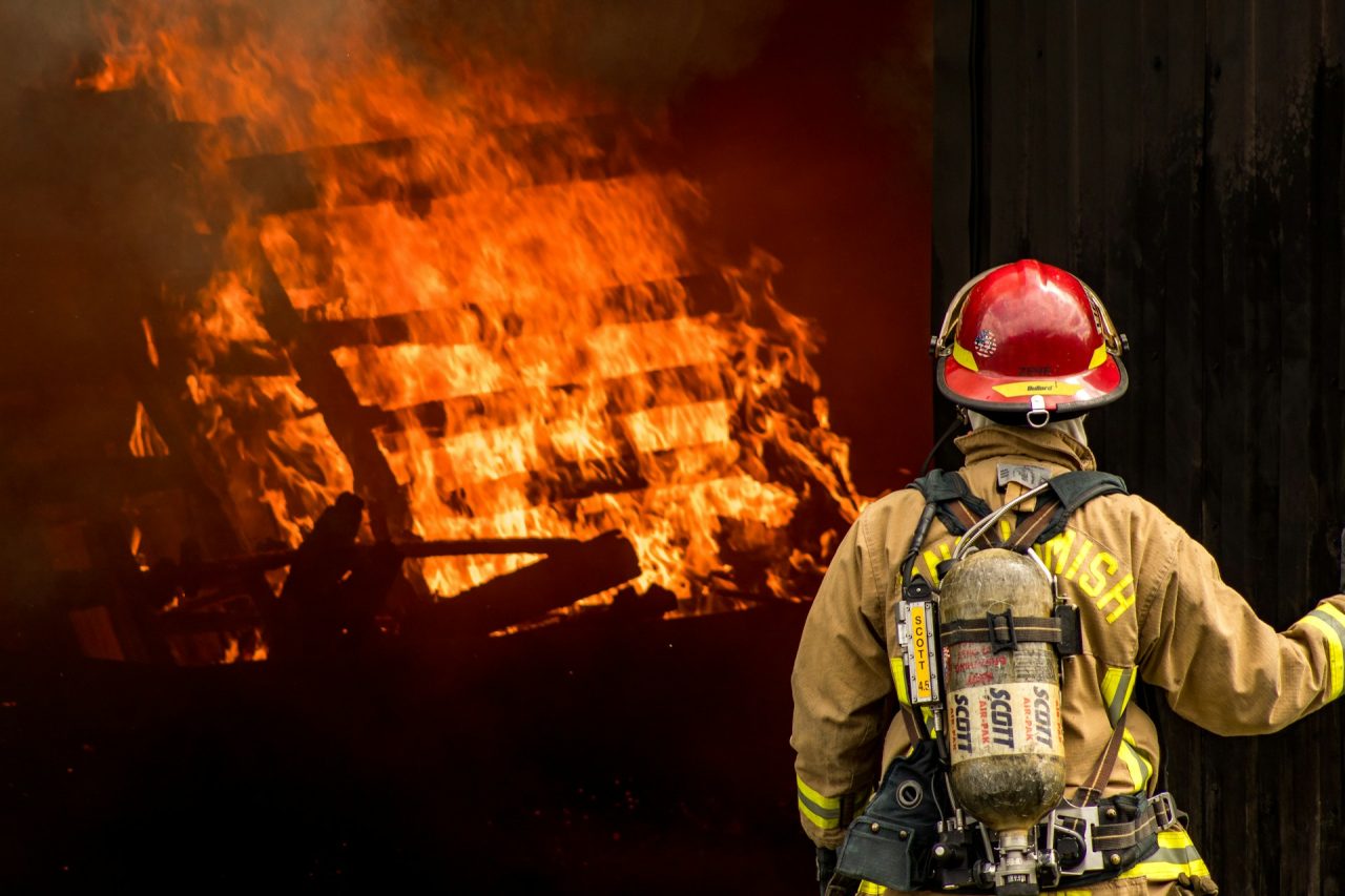 Rinnovabili • Incendi boschivi, nel Meridione le regioni più colpite