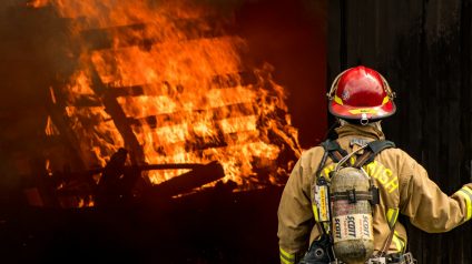 Rinnovabili • Incendi boschivi, nel Meridione le regioni più colpite