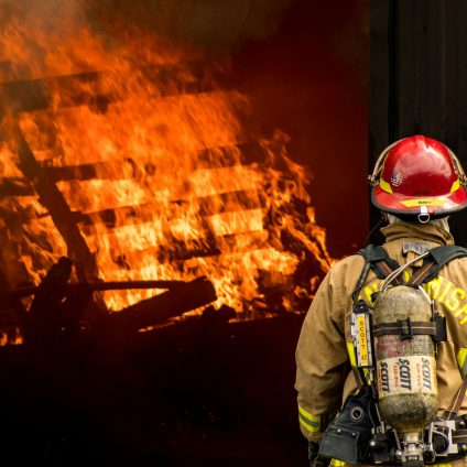 Rinnovabili • Incendi boschivi, nel Meridione le regioni più colpite