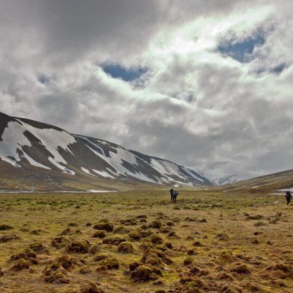 Rinnovabili • Di neve nell'Artico ce n'è davvero poca, come è emerso in una campagna di ricerca sul campo nelle isole Svalbard, in Norvegia.