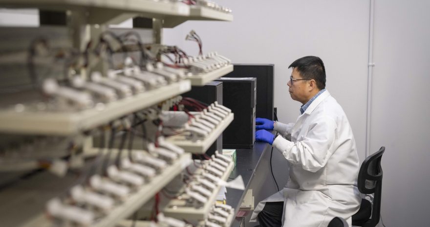 Rinnovabili • Ora si può recuperare il 92% di minerali critici dalle batterie agli ioni di litio