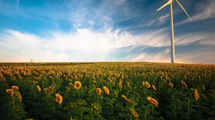 Rinnovabili • Aziende agricole in Italia, analisi dello stato attuale e delle prospettive future