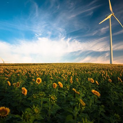 Rinnovabili • Aziende agricole in Italia, analisi dello stato attuale e delle prospettive future