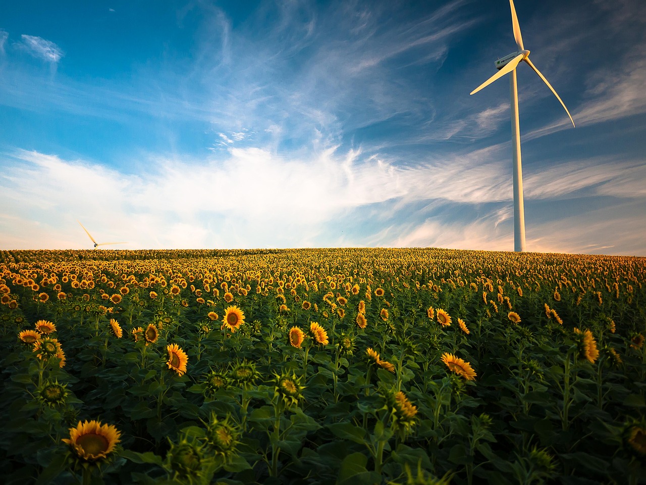Rinnovabili • Aziende agricole in Italia, analisi dello stato attuale e delle prospettive future