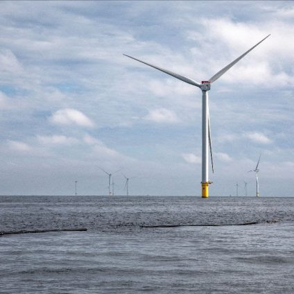 Rinnovabili • Primo raccolto presso l'innovativa coltivazione di alghe marine nel Mare del Nord