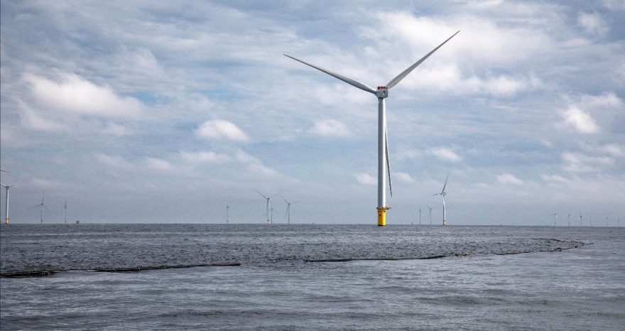 Rinnovabili • Primo raccolto presso l'innovativa coltivazione di alghe marine nel Mare del Nord