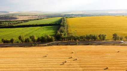 Rinnovabili • PAC post-2027, le priorità per il finanziamento dell’agricoltura