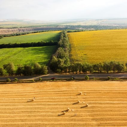 Rinnovabili • PAC post-2027, le priorità per il finanziamento dell’agricoltura