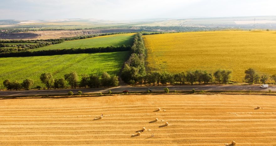 Rinnovabili • PAC post-2027, le priorità per il finanziamento dell’agricoltura