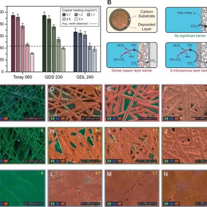 Rinnovabili • Cattura del Carbonio: prestazioni del GDE elettrodeposto. Credits: Nature Communications (2025). DOI: 10.1038/s41467-025-61525-3