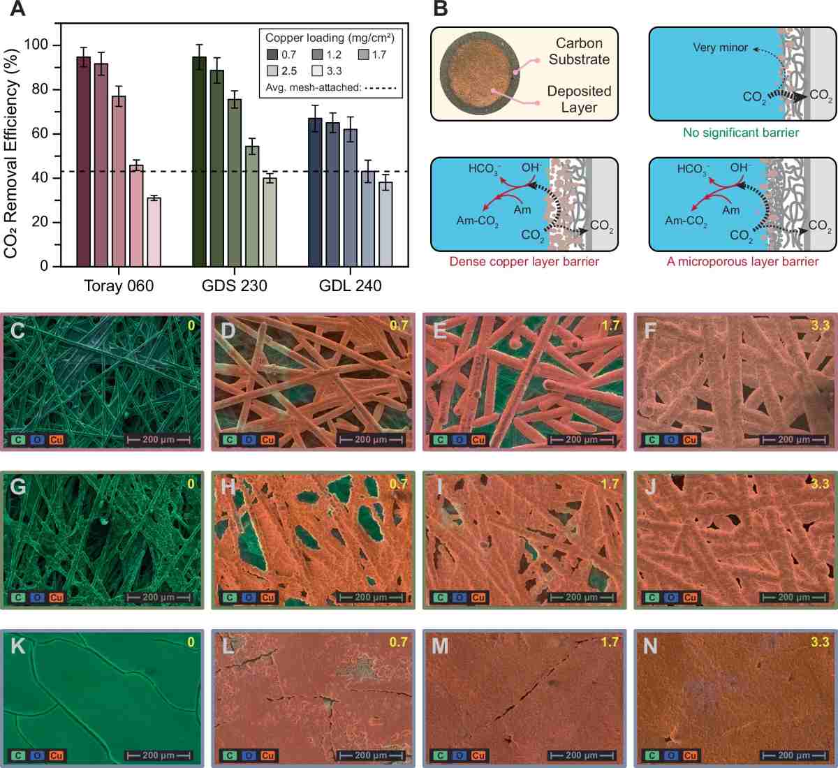 Cattura del Carbonio: prestazioni del GDE elettrodeposto. Credits: Nature Communications (2025). DOI: 10.1038/s41467-025-61525-3