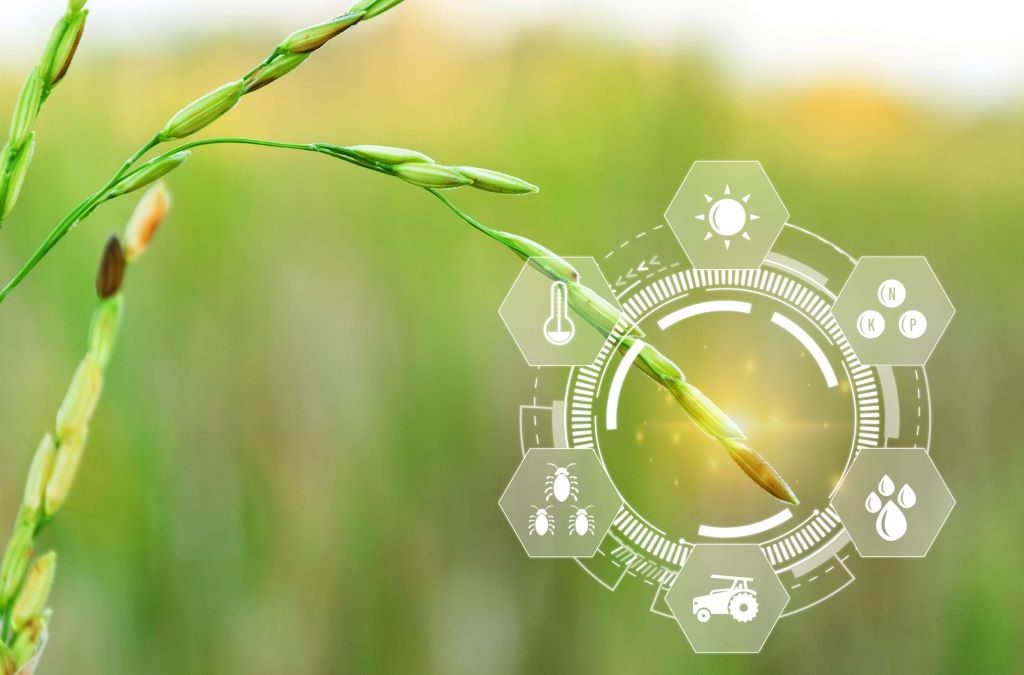 Sarà l’intelligenza artificiale a rimodellare il futuro dei sistemi alimentari globali?