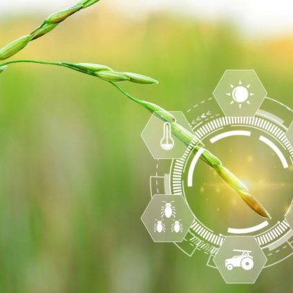 Rinnovabili • Sarà l’intelligenza artificiale a rimodellare il futuro dei sistemi alimentari globali?