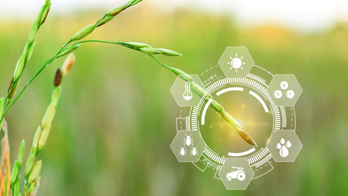 Sarà l’intelligenza artificiale a rimodellare il futuro dei sistemi alimentari globali?