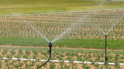 Rinnovabili • Il risparmio idrico, perché è vitale per l’agricoltura