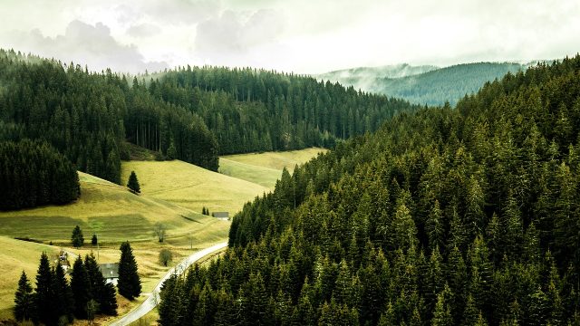 Rinnovabili • Pozzi di carbonio, un argine al riscaldamento del Pianeta